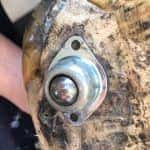 tortoise with an alwayse ball transfer unit as a replacement limb