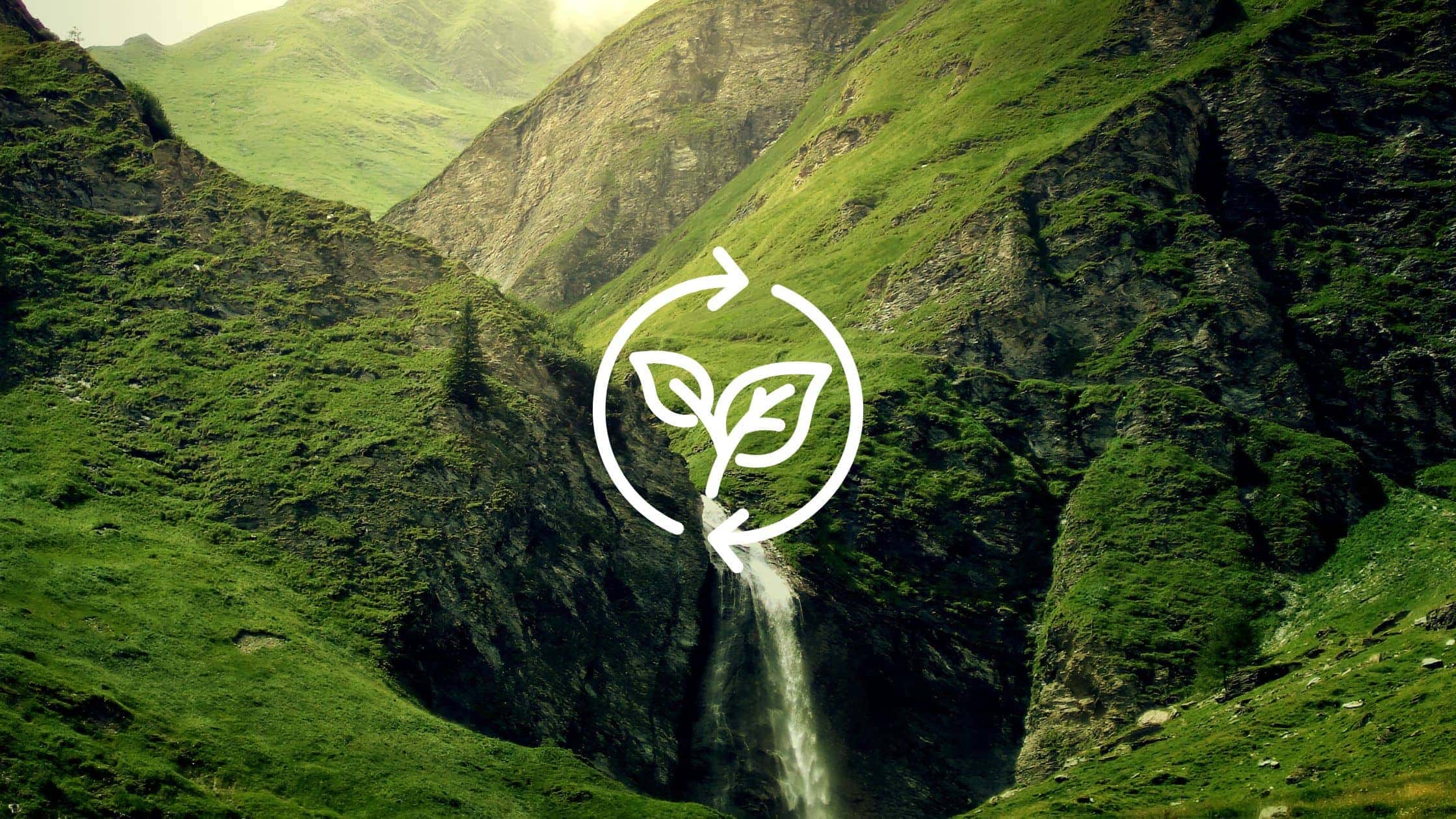 Alwayse Ball Transfer Units are the Green Choice